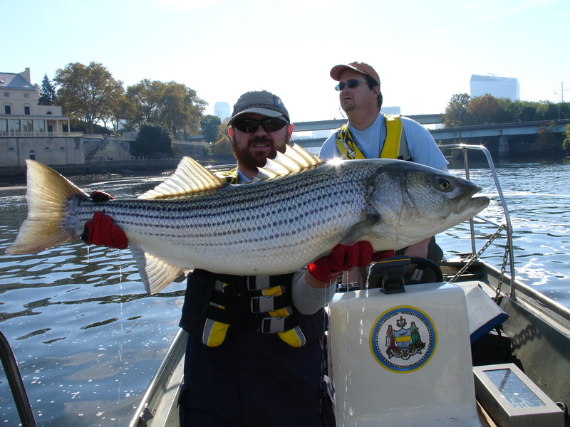 schuylkill river fishing