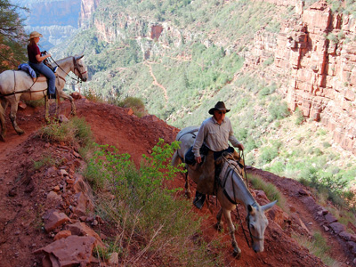 Wrangler Tom Boyles leads Emily Beuins into a switchback on the North Kaibab Trail. The mules were surprisingly adept at negotiating the zigzags. (DONALD D. GROFF / For The Inquirer)<br />