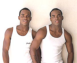 Black Gay Twin Porn Stars - Twin gay-porn stars arrested in rooftop burglaries