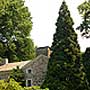 Welkinweir Arboretum