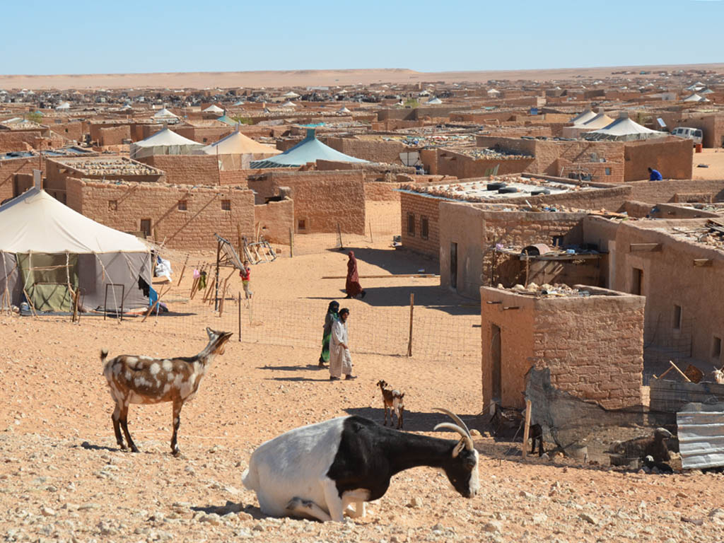 Страны западной сахары. Сахарская арабская Демократическая Республика. Западная сахара. Западная сахара государство. Западная сахара государство столица.