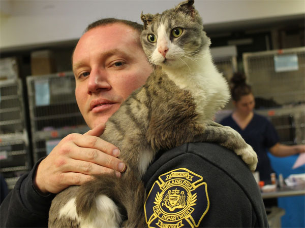 Cat set on fire last month gets new life with Philly firefighter